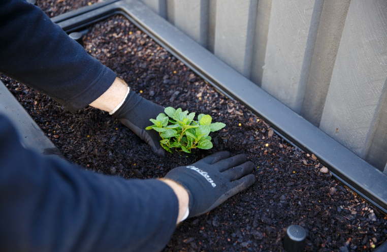 Person gardening