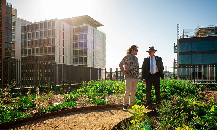 Yerrabingin rooftop garden
