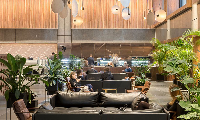 Workplace with plants