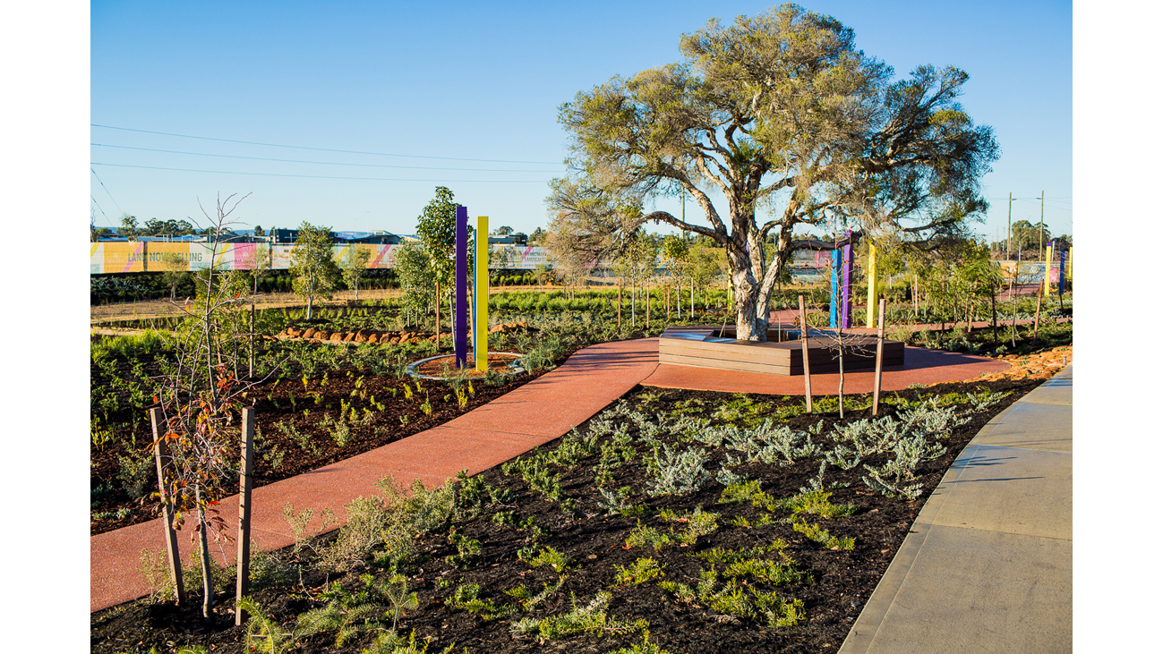 Park with plants