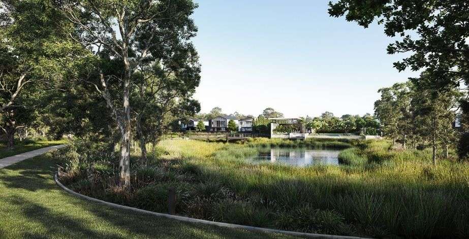Park and pond