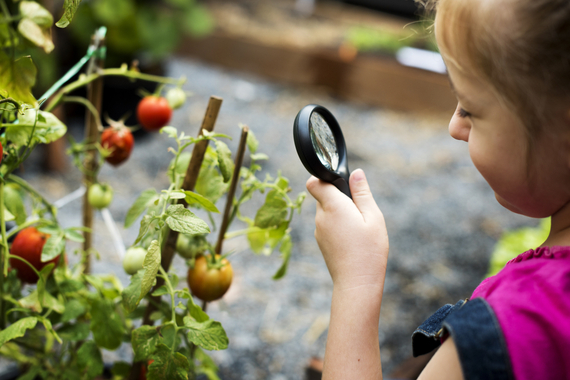 Fun Backyard Science Experiments For The Holidays